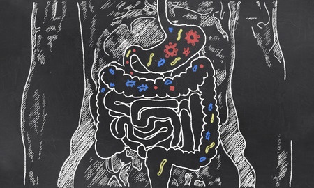 digestive health picture