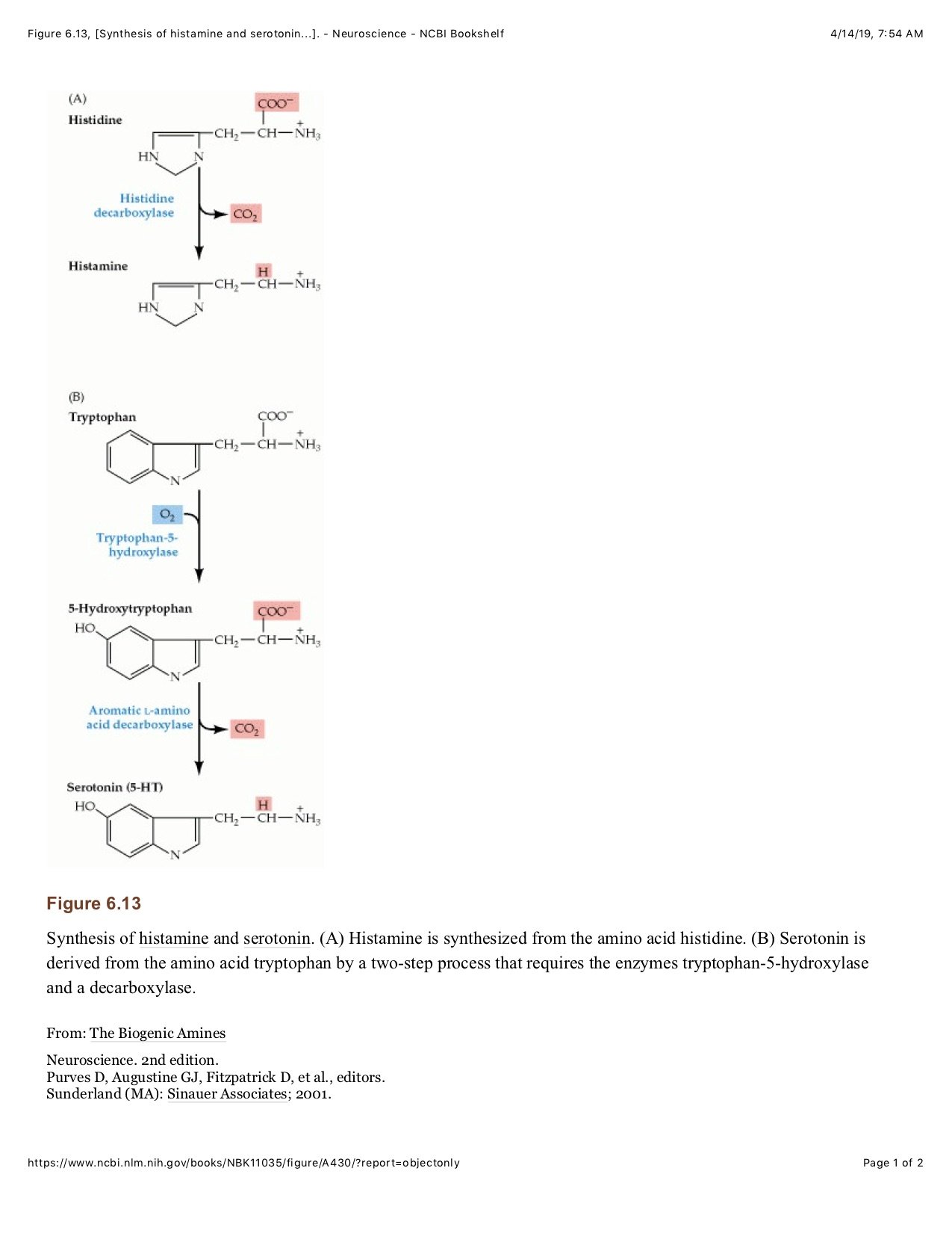 Figure 6.13, [Synthesis of histamine and serotonin...]. - Neuroscience - NCBI Bookshelf