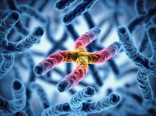 MTHFR and Nutrigenomics