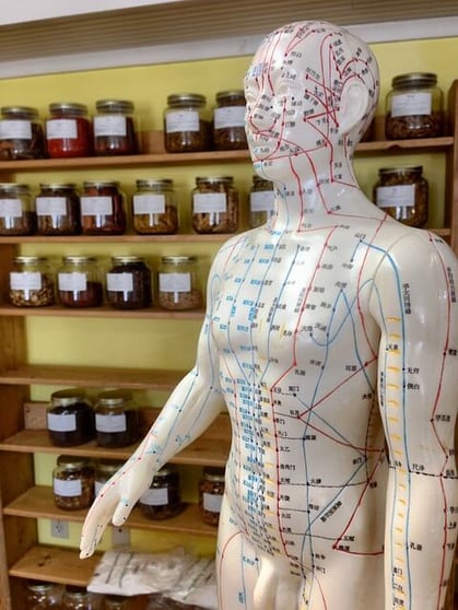 acupuncture-pressure-points