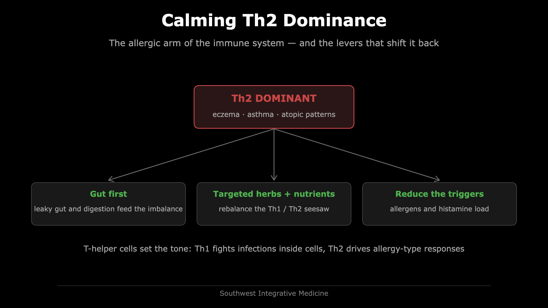 Diagram of Th2 dominance driving eczema, asthma and atopic patterns, with three levers: gut repair, targeted herbs and nutrients, and reducing allergen and histamine triggers