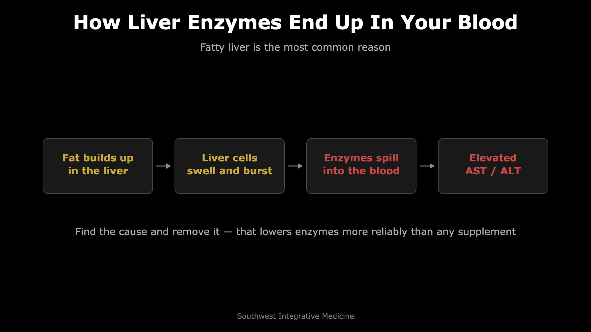 Diagram showing how liver enzymes end up in your blood: fat builds up in the liver, liver cells swell and burst, enzymes spill into the blood, elevated AST and ALT