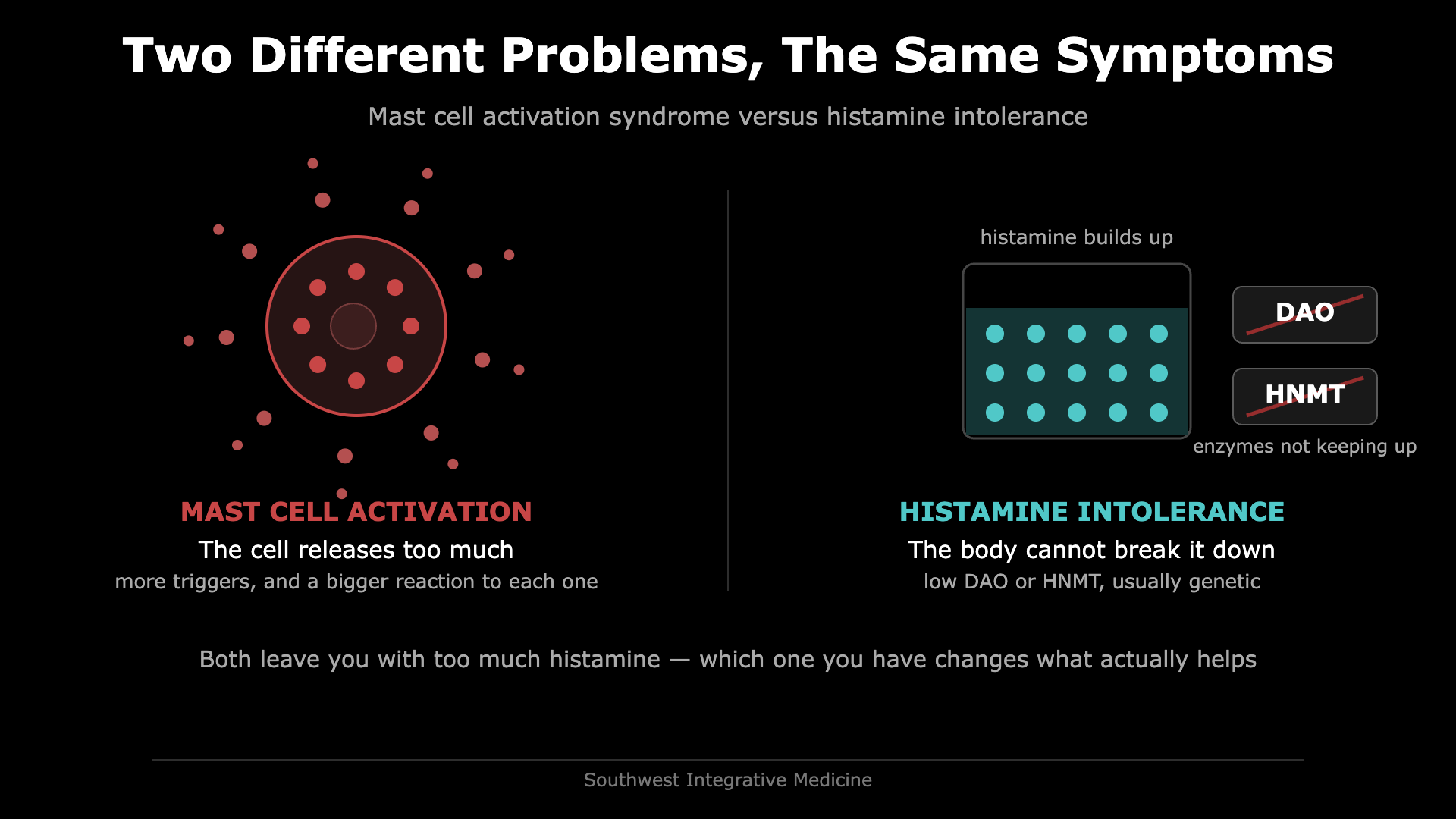 Illustration comparing mast cell activation syndrome, where the mast cell releases too much histamine, with histamine intolerance, where low DAO and HNMT enzymes cannot break histamine down