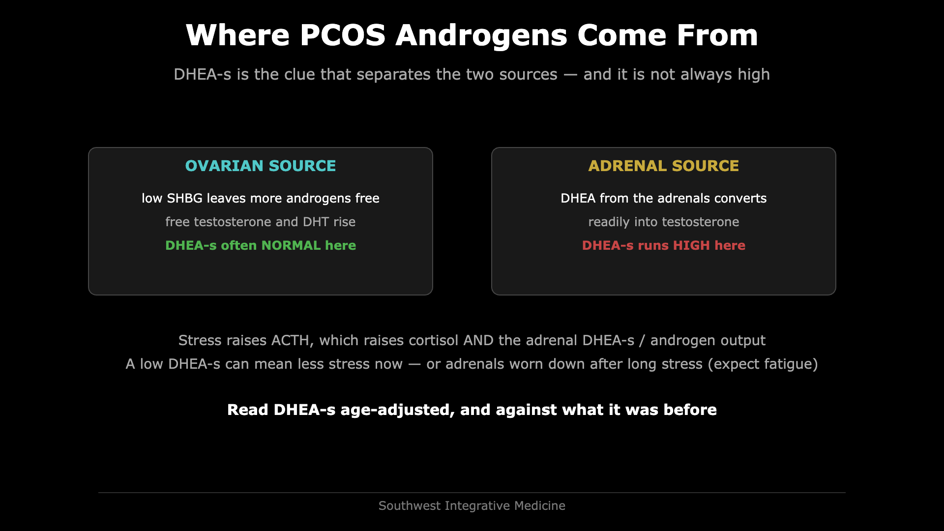 Diagram of the two sources of androgens in PCOS: the ovarian route where low SHBG leaves more androgens free, and the adrenal route where DHEA converts to testosterone and DHEA-s runs high