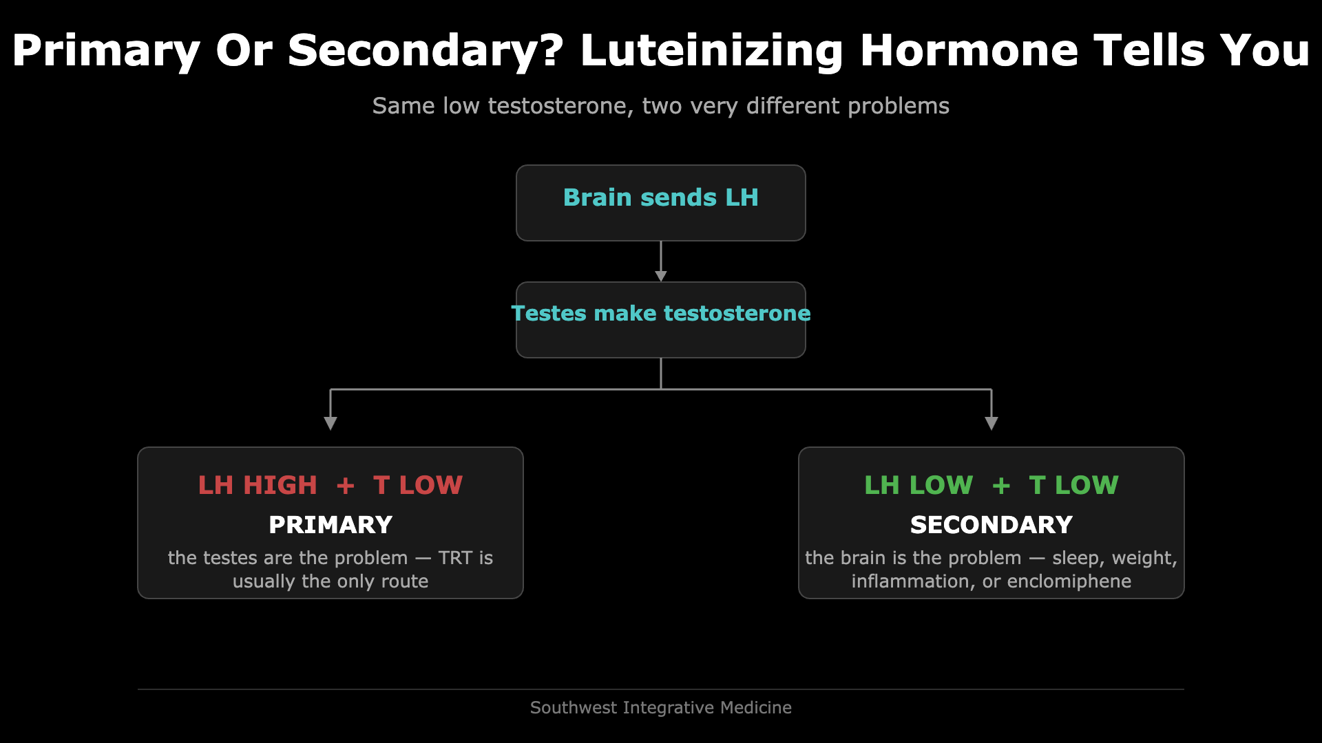 Diagram showing that high luteinizing hormone with low testosterone means primary hypogonadism, while low LH with low testosterone means secondary hypogonadism