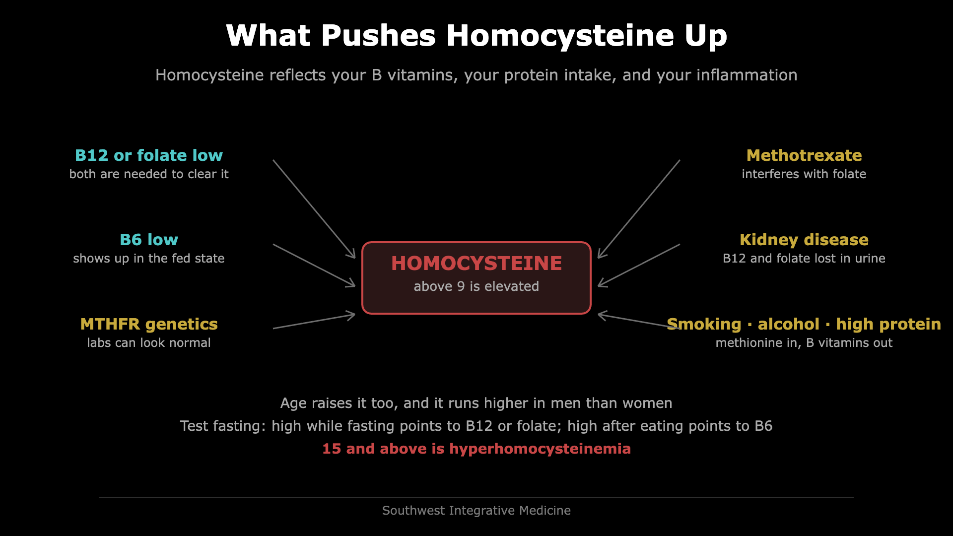 Diagram of the causes of high homocysteine: low B12 or folate, low B6, MTHFR genetics, methotrexate, kidney disease, and smoking, alcohol or a high protein diet