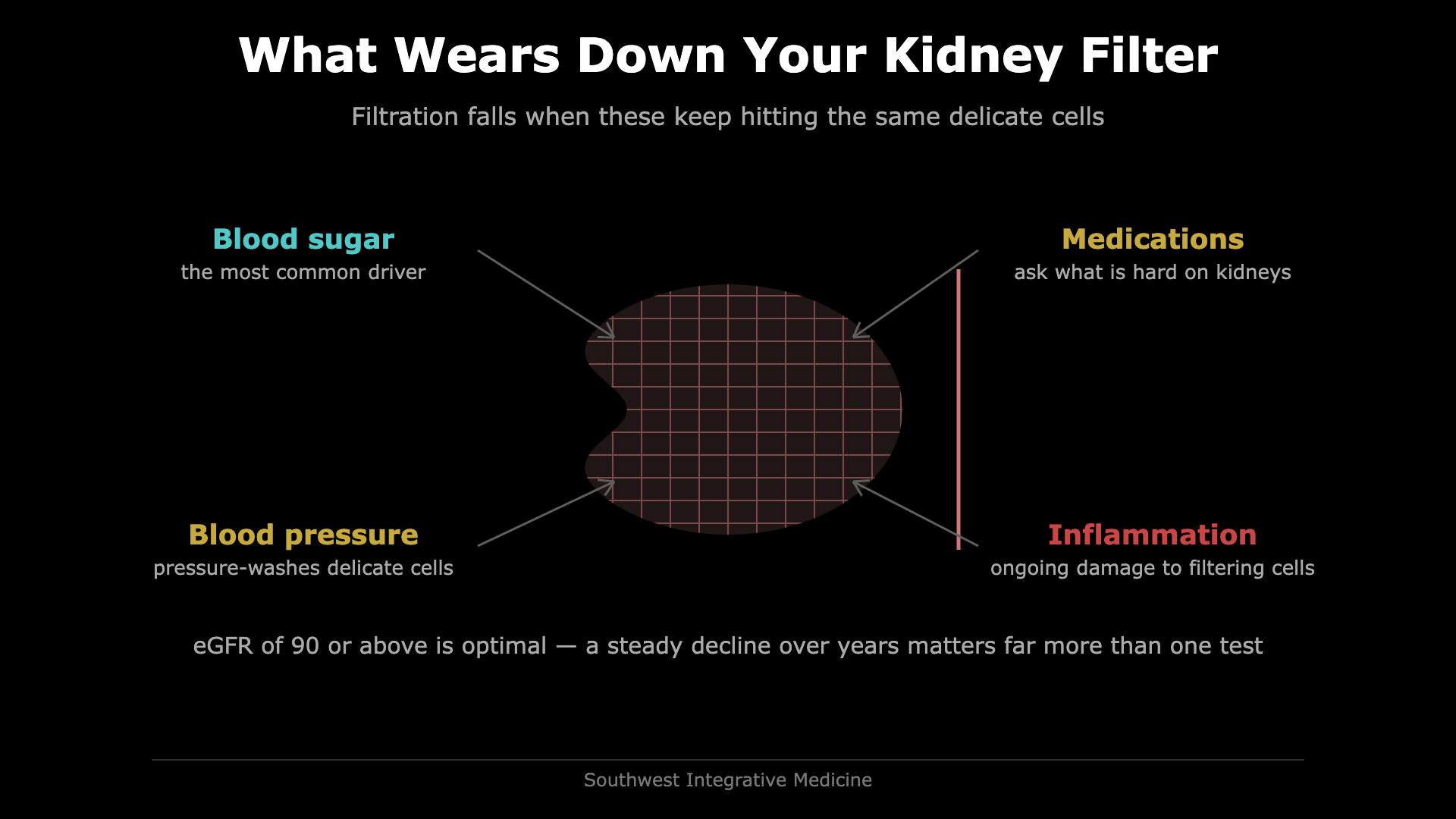 Illustration of a kidney with a filtration mesh being worn down by blood sugar, blood pressure, medications and inflammation