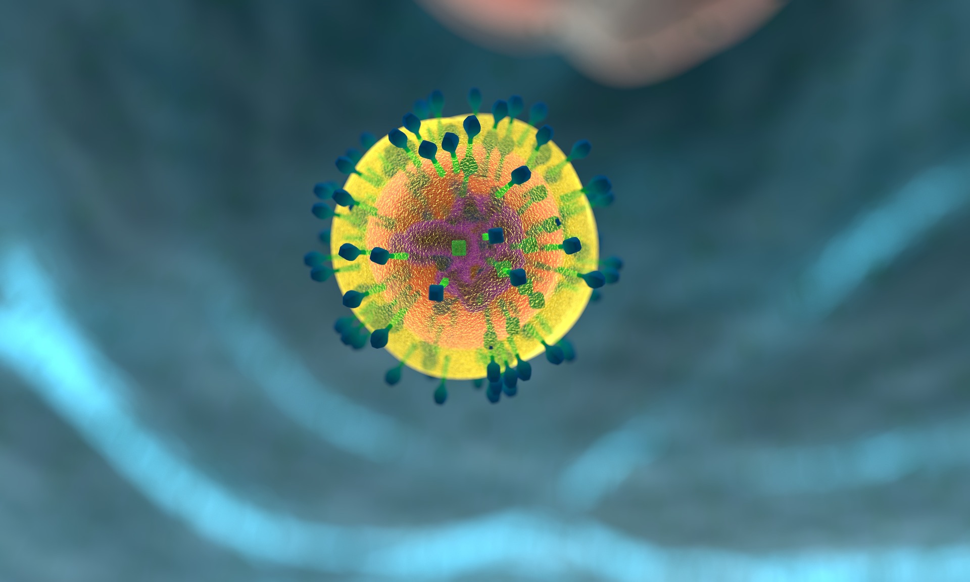 immune activity in thyroid example