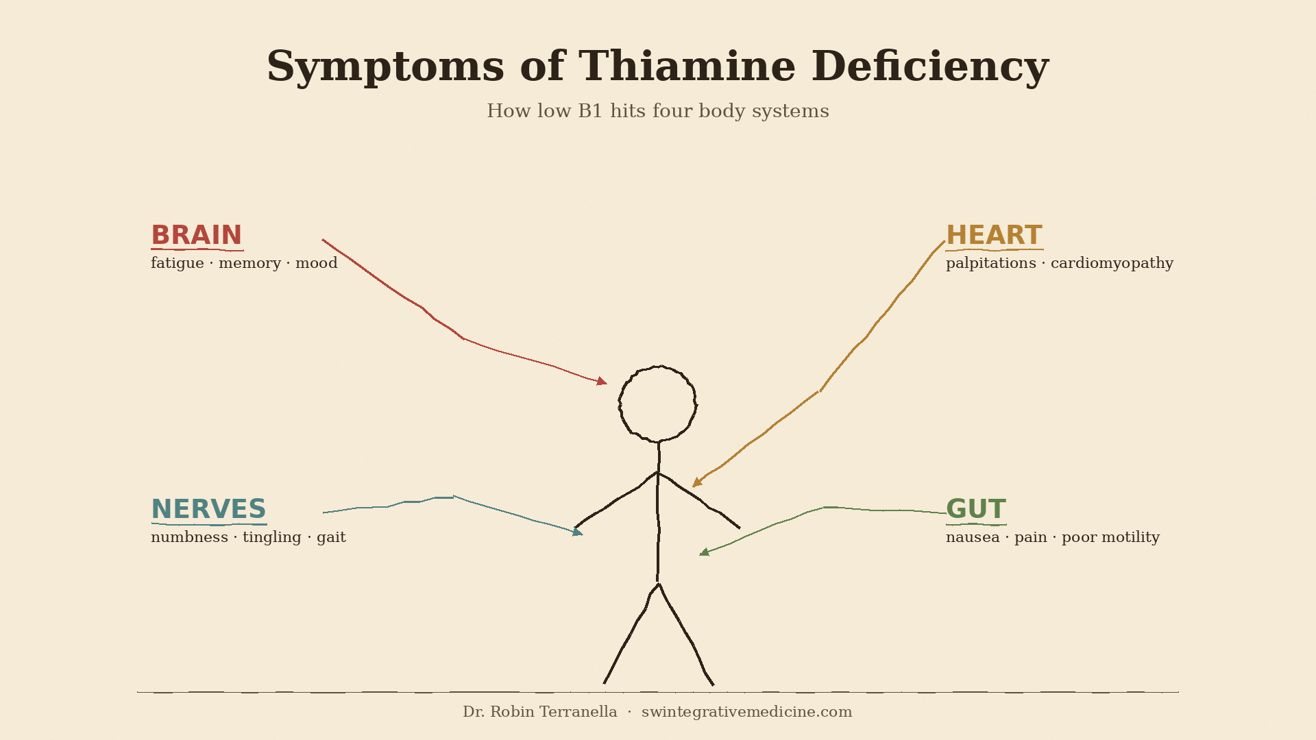 Symptoms Of Thiamine Deficiency