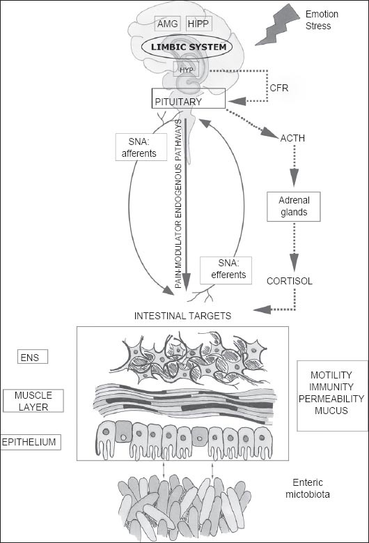 Top 5 Physiological Causes of Anxiety (Pt2)