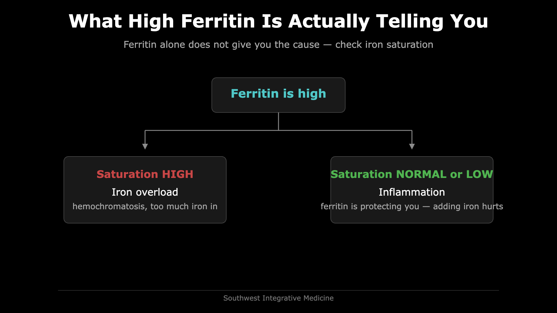 High Ferritin Levels in Blood? The Danger You Need to Know