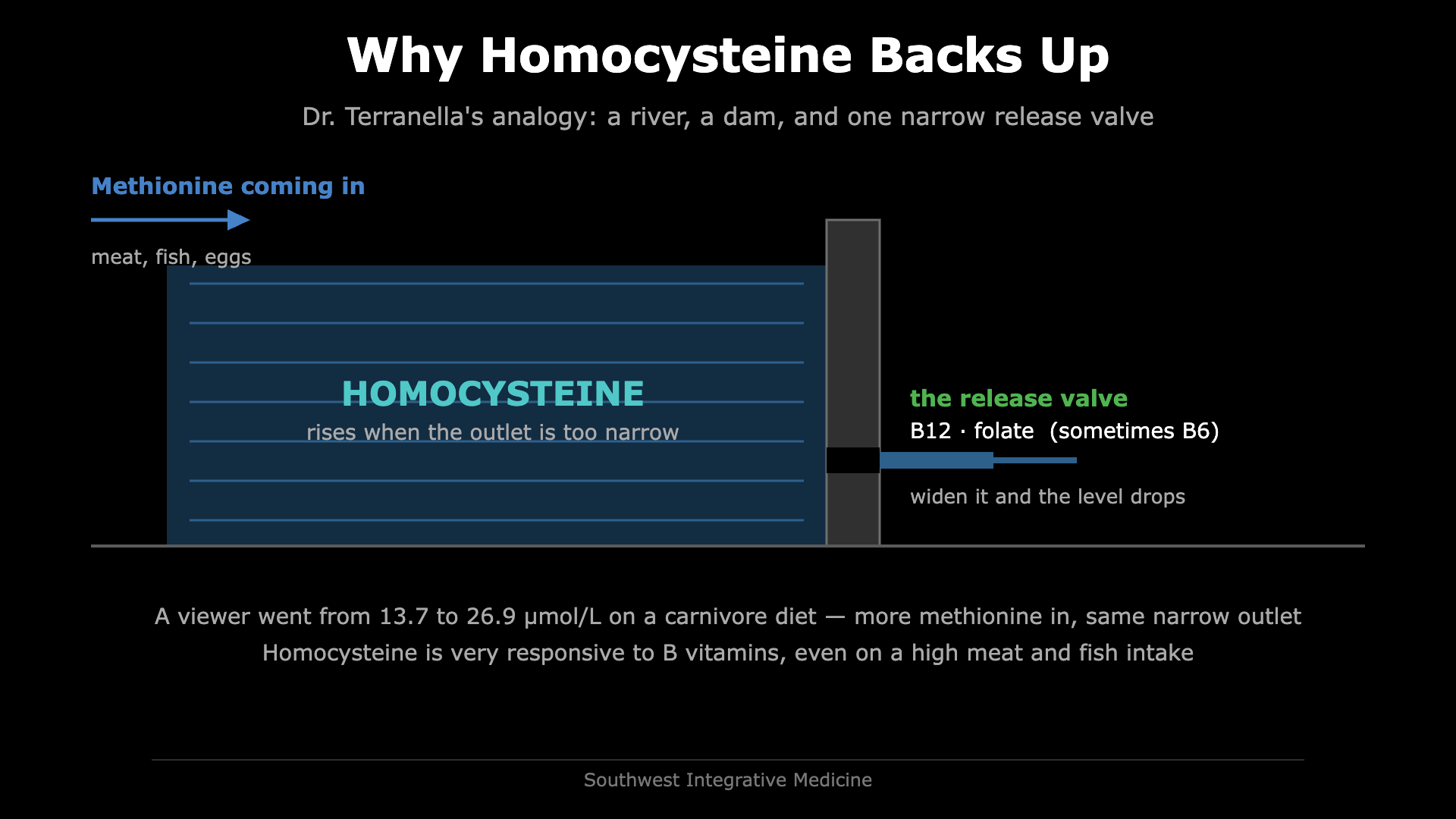 High Homocysteine? Diet's Actual Role